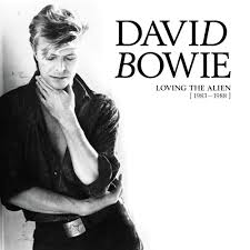 Bowie David - Loving The Alien (1983-1988) CD Box